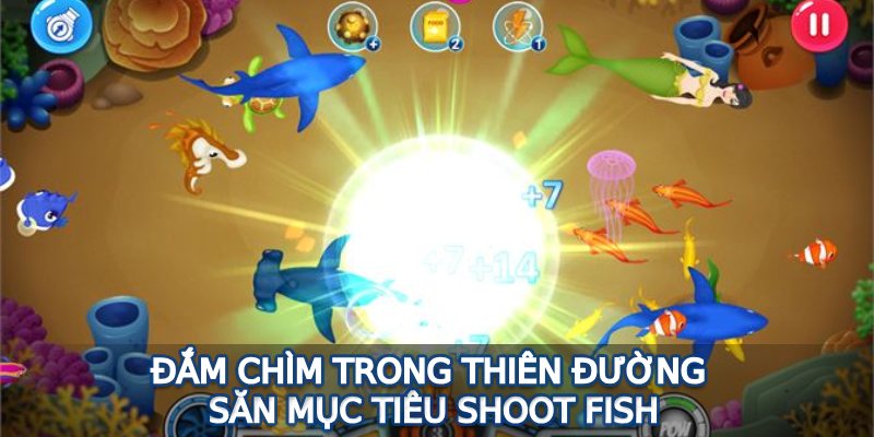 Đắm chìm trong thiên đường săn mục tiêu Shoot fish