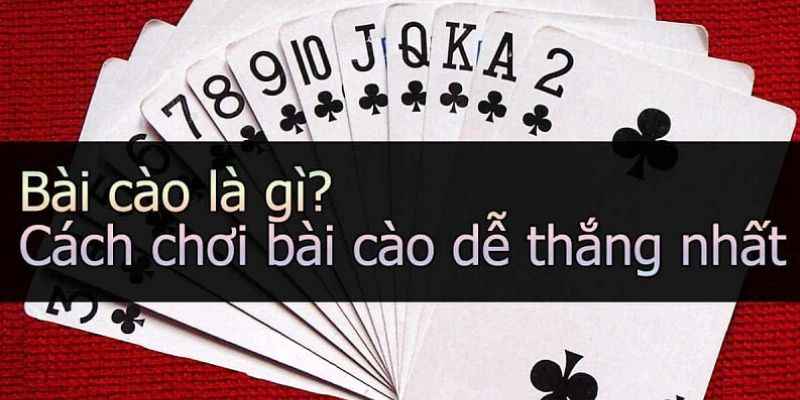 Giới thiệu về bài cào và cách chơi bài cào như thế nào?